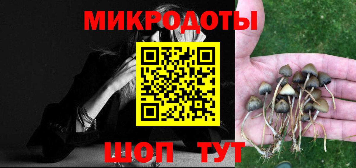 Галлюциногенные грибы Magic Shrooms Десногорск
