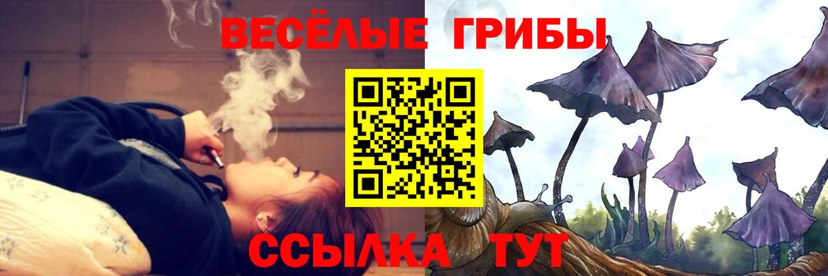 Галлюциногенные грибы прущие грибы  Вход с VPN  Десногорск 